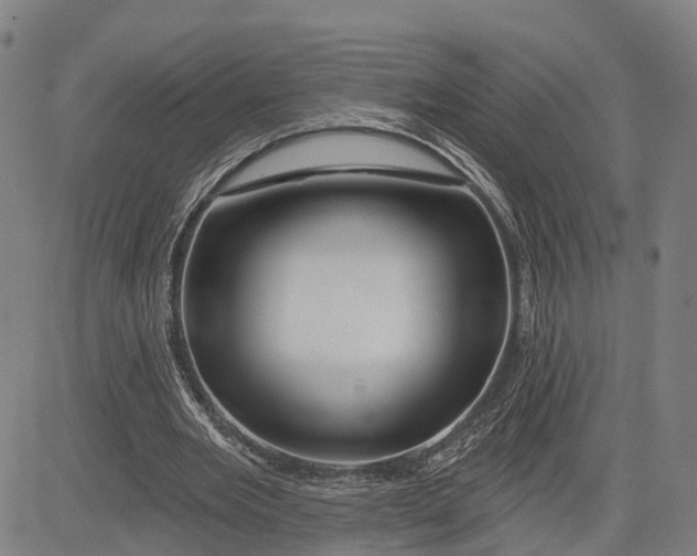 X0000081420485200702021631