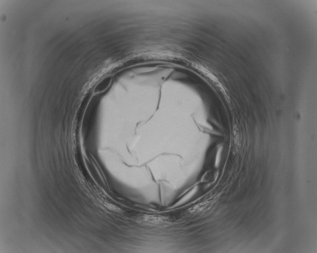 X0000081420487200702021631