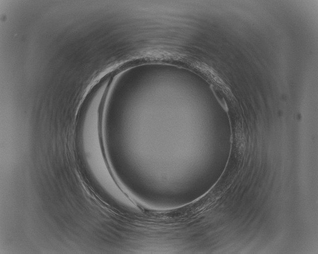 X0000081420488200702021631