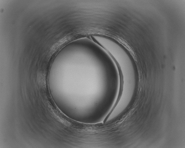 X0000081420489200702021631