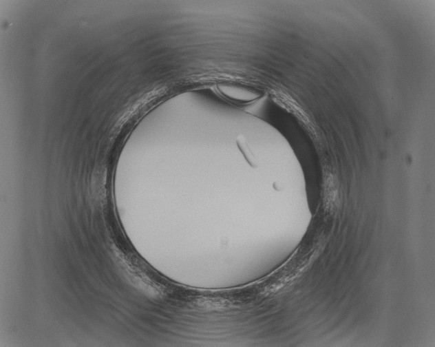 X0000081420490200702021631