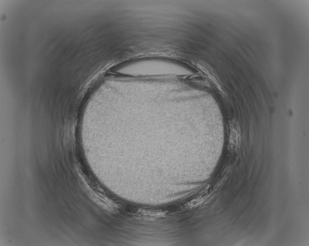 X0000081420491200702021631