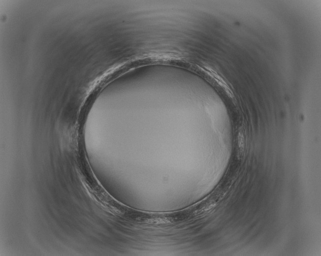 X0000081420492200702021631