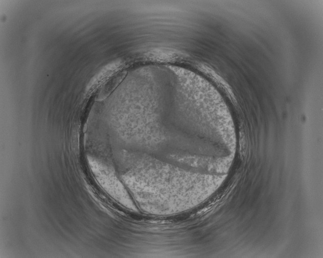 X0000081420493200702021631