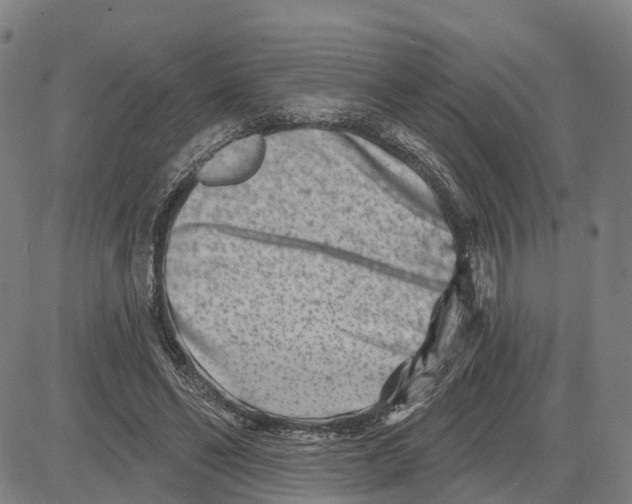 X0000081420494200702021631