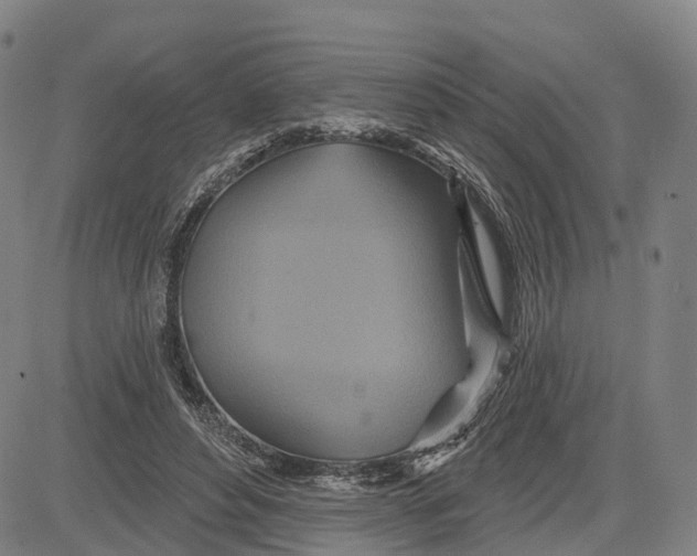 X0000081420496200702021631