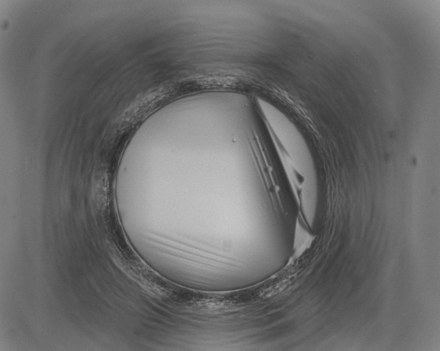 X0000081420498200702021631