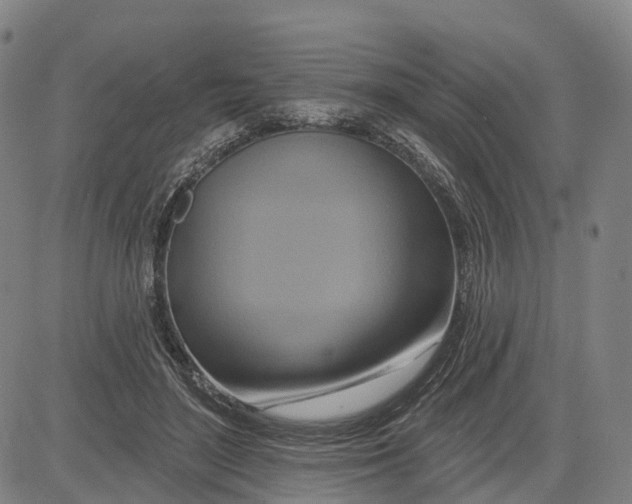 X0000081420500200702021631