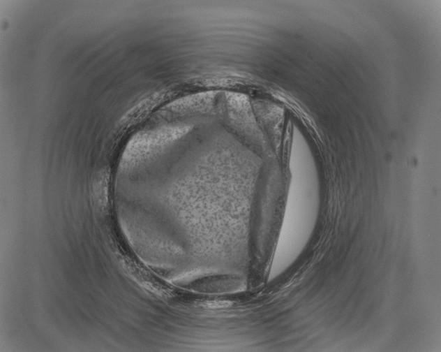 X0000081420501200702021631