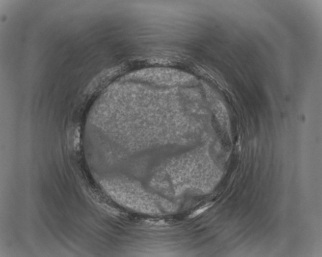 X0000081420502200702021631