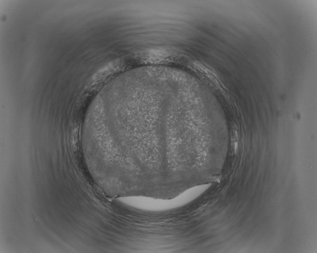 X0000081420503200702021631