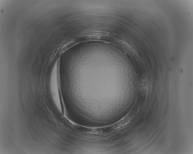 X0000081420504200702021631