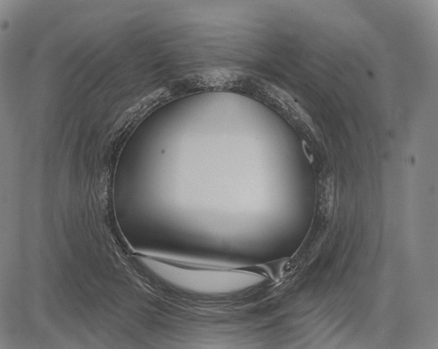 X0000081420505200702021631