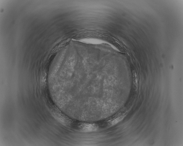 X0000081420507200702021631