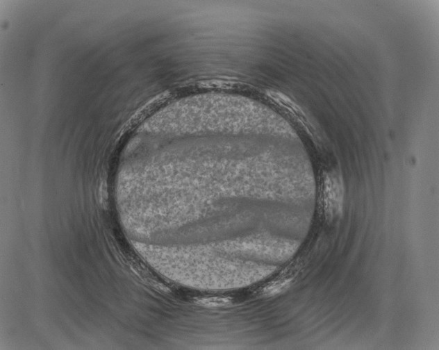 X0000081420508200702021631