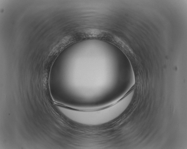 X0000081420509200702021631