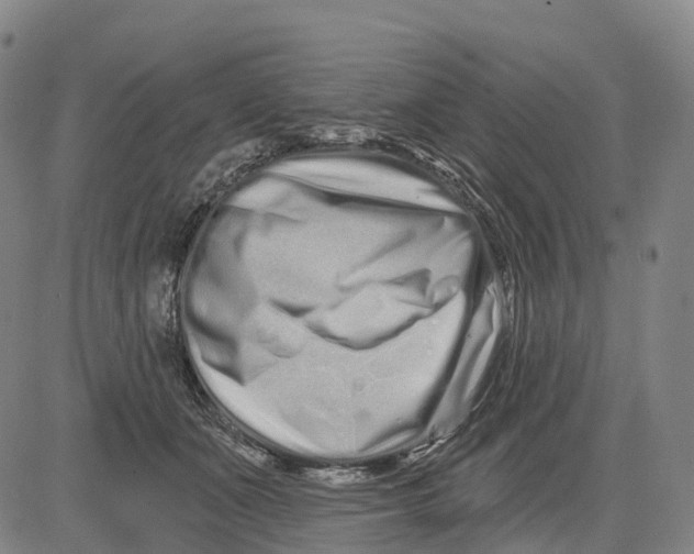 X0000081420511200702021631