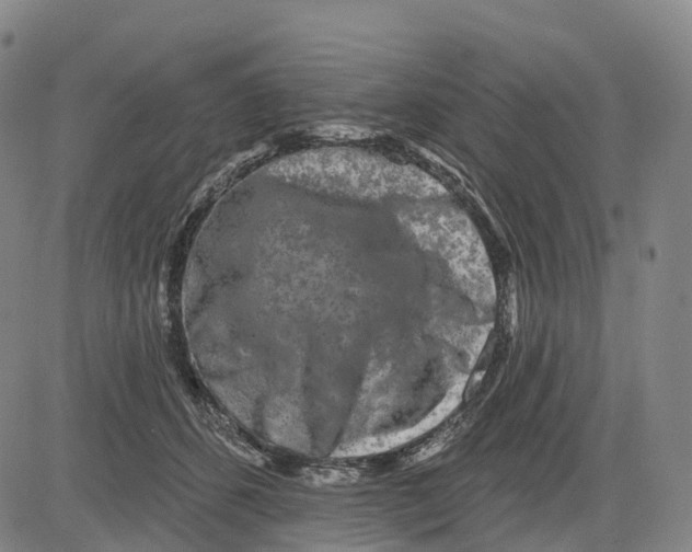 X0000081420512200702021631