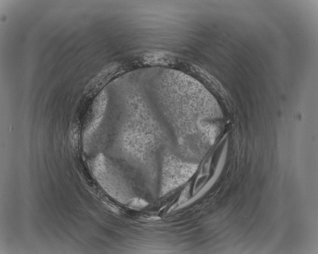 X0000081420513200702021631