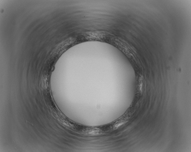 X0000081420514200702021631