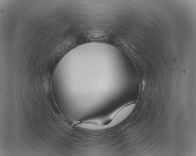 X0000081420515200702021631