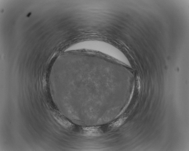 X0000081420516200702021631