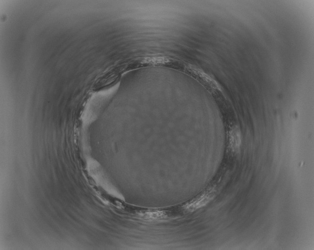 X0000081420517200702021631