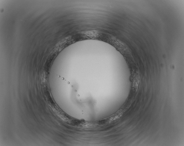 X0000081420518200702021631