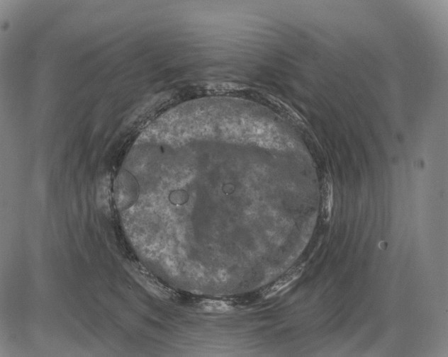 X0000081420519200702021630