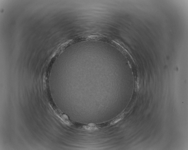 X0000081420520200702021630