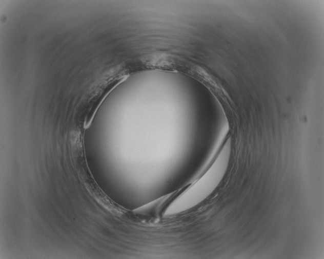 X0000081420521200702021630