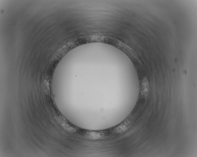 X0000081420522200702021630