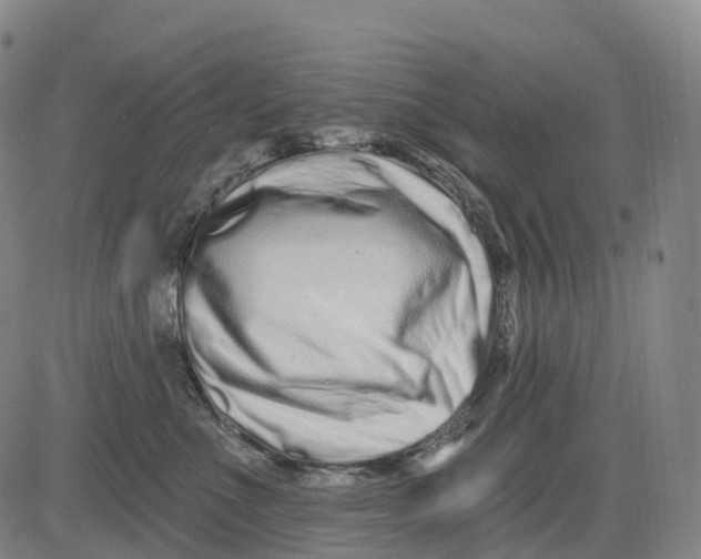 X0000081420523200702021630