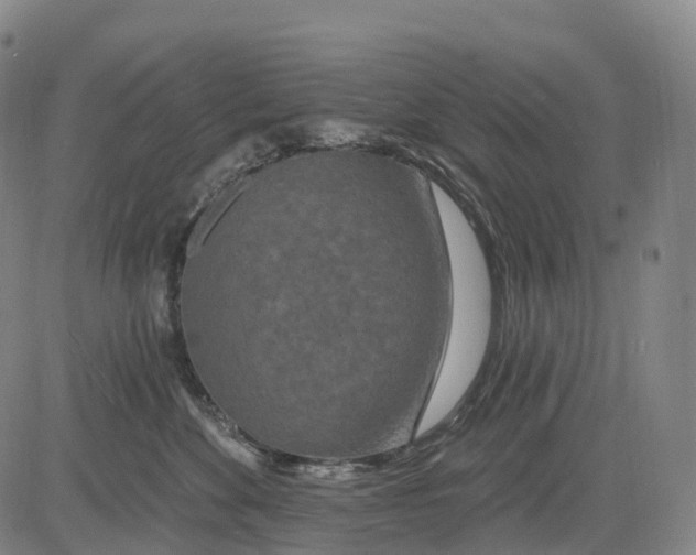 X0000081420524200702021630