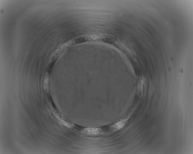 X0000081420526200702021630