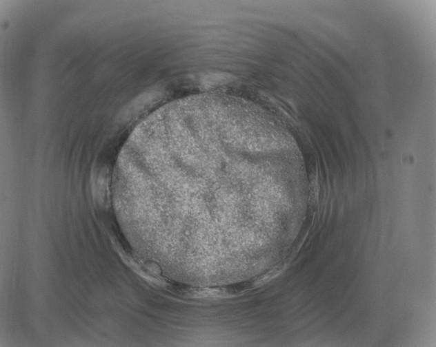 X0000081420527200702021630