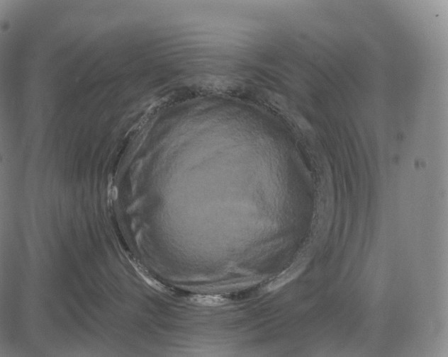 X0000081420528200702021630