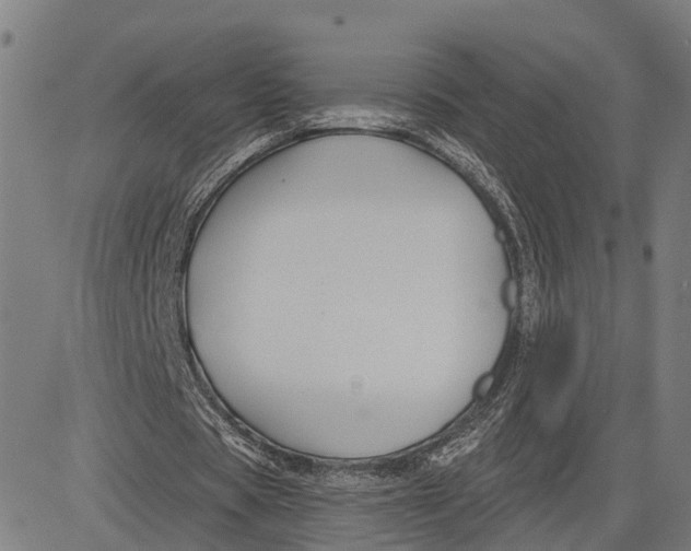 X0000081420529200702021630