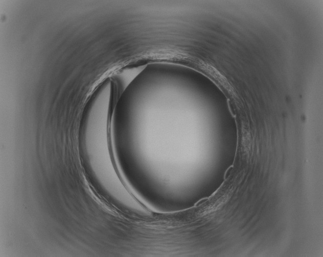 X0000081420530200702021630