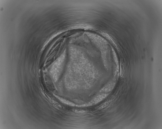 X0000081420531200702021630