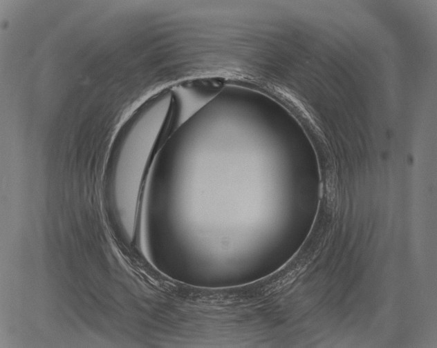 X0000081420532200702021630