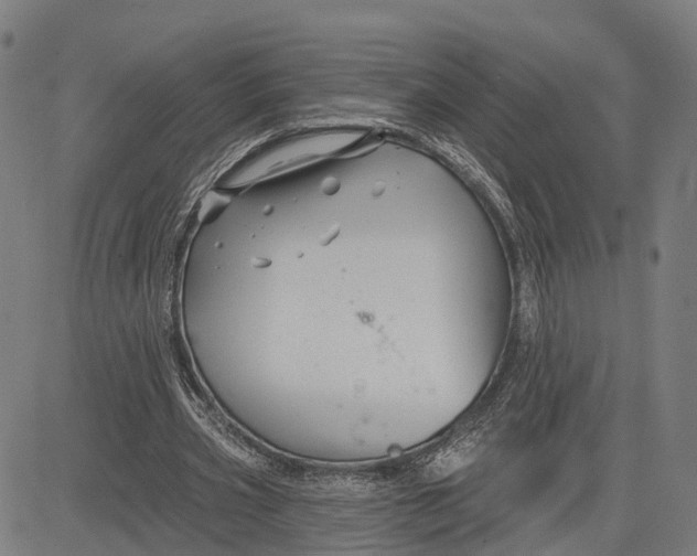 X0000081420533200702021630