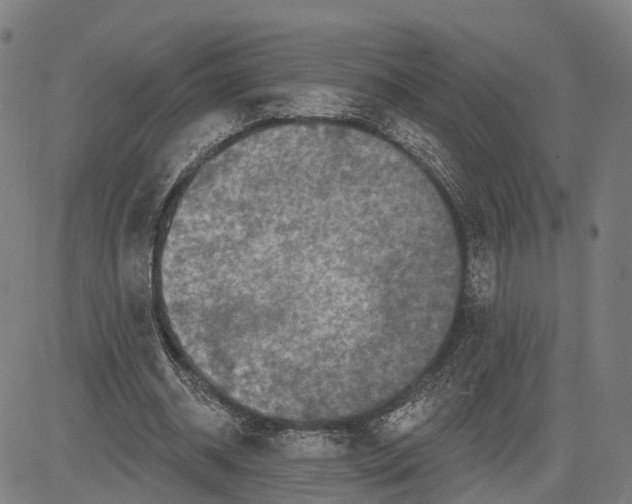 X0000081420534200702021630