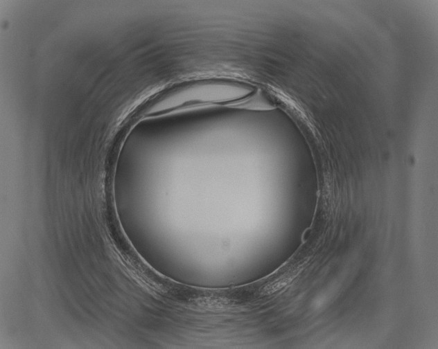 X0000081420535200702021630