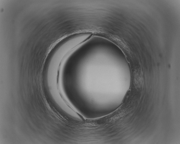 X0000081420536200702021630