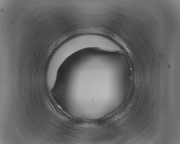 X0000081420537200702021630