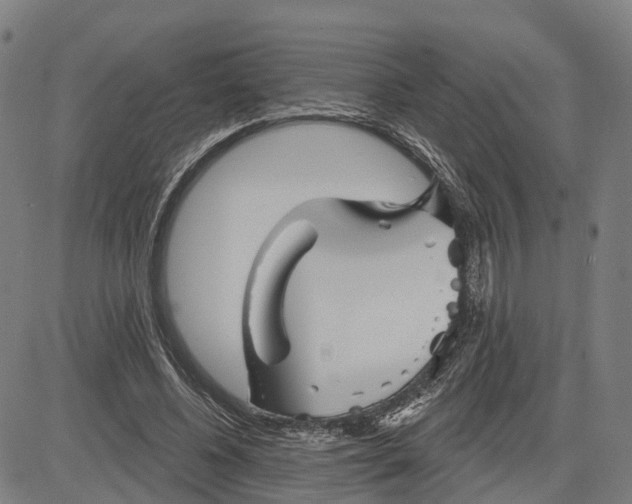 X0000081420540200702021630