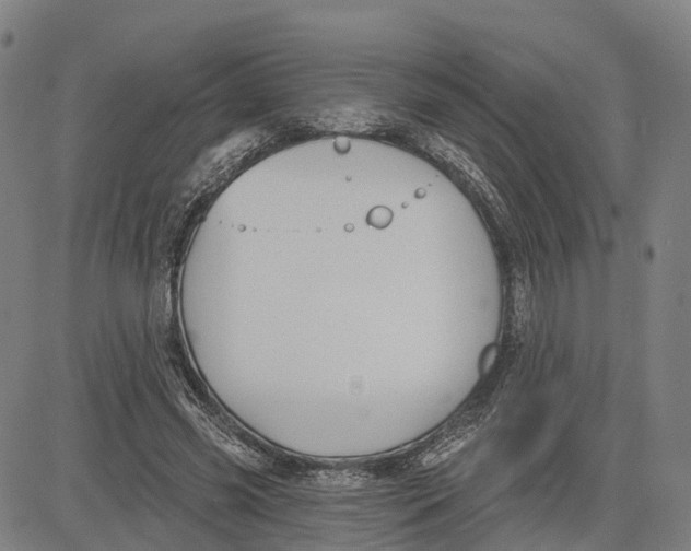 X0000081420541200702021630