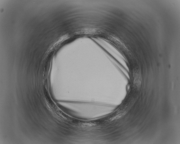 X0000081420542200702021630