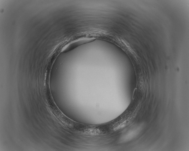 X0000081420543200702021630